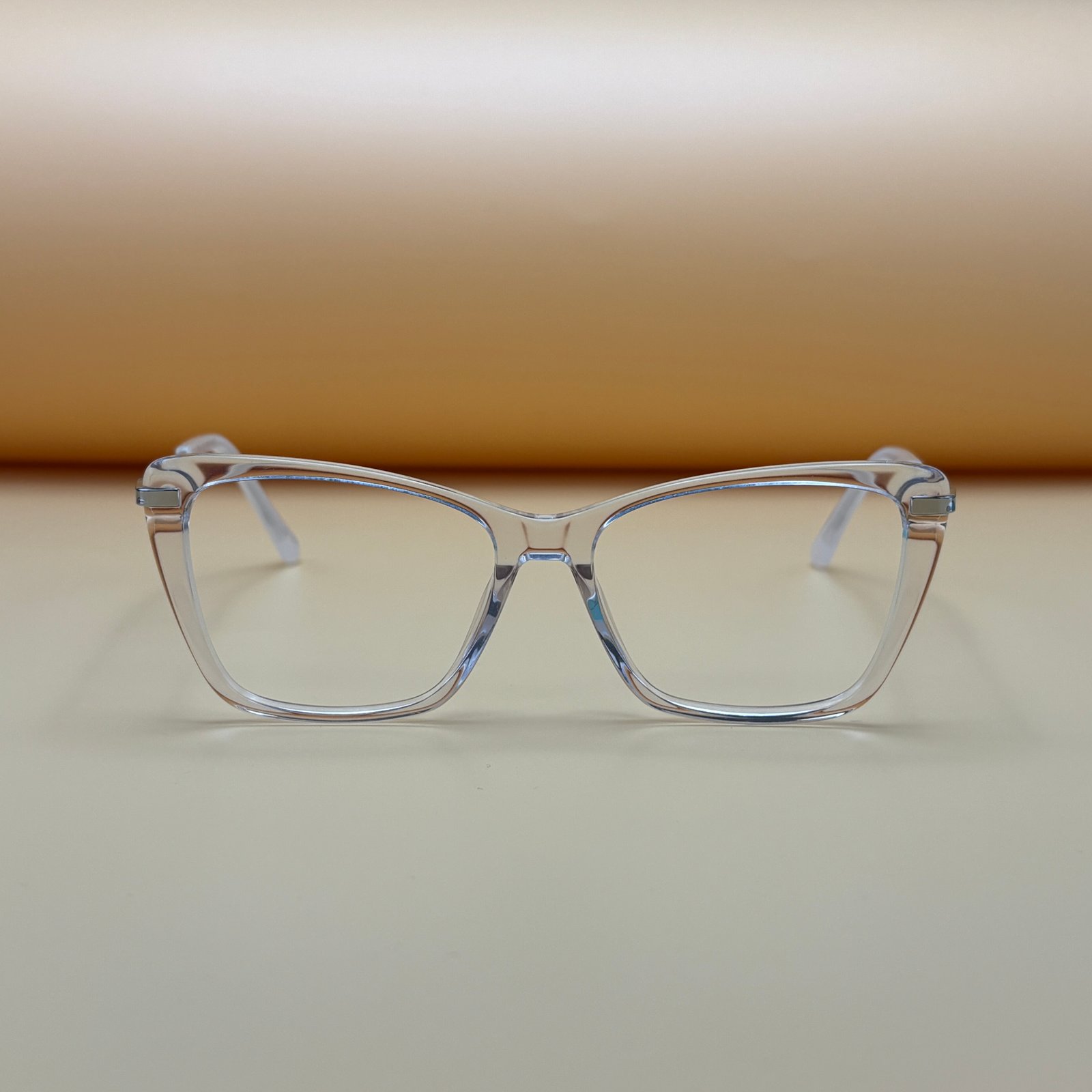 Jimmy Choo Transparent