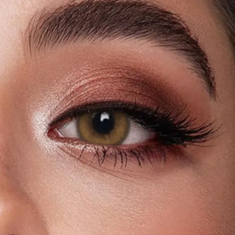 Veni Bassia Brown