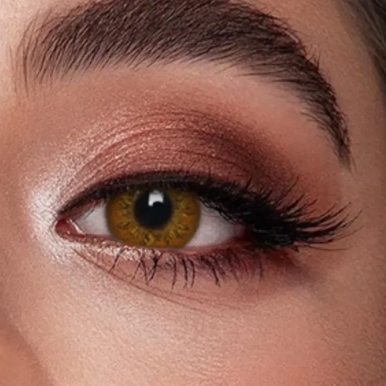 Veni Russian Brown