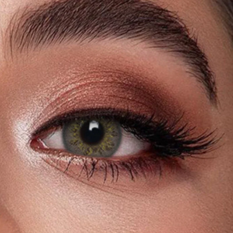 Veni Russian Grey